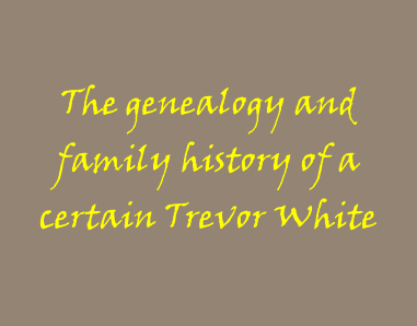 The genealogy and family history of a certain Trevor White